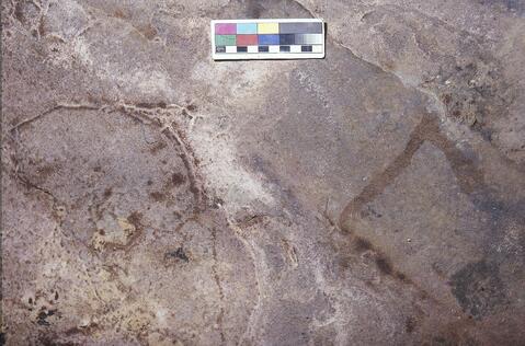 Open original Digitaal object