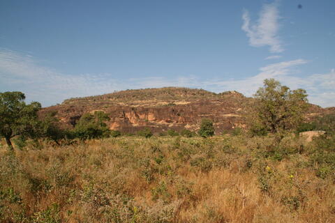 Open original Digital object