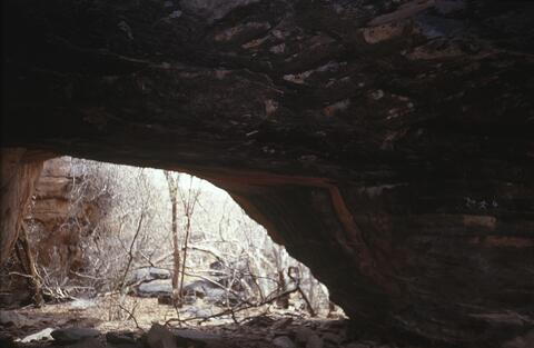 Open original Digital object