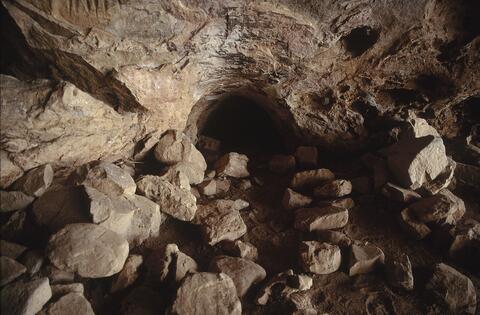 Open original Digital object