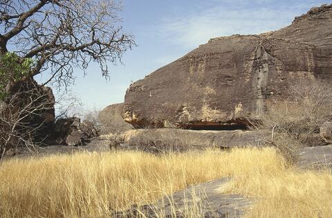 Open original Digital object