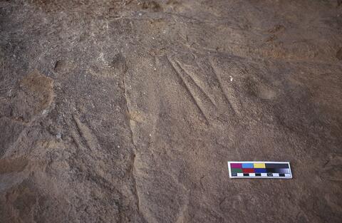 Open original Digital object