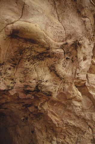 Open original Digitaal object