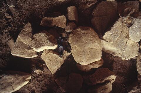 Open original Digital object