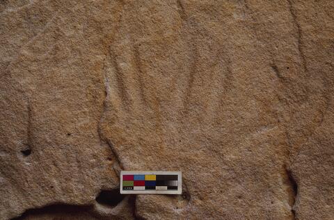 Open original Digital object