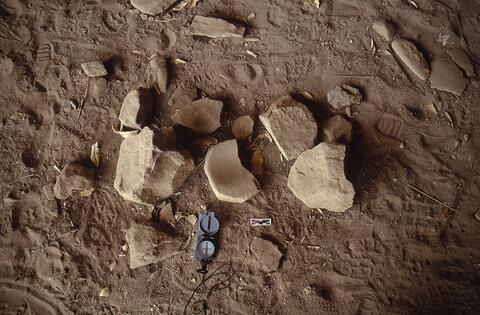 Open original Digital object