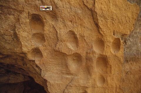 Open original Digitaal object