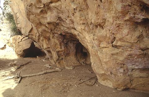 Open original Digital object