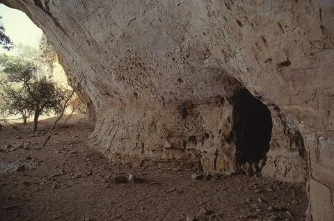 Open original Digital object