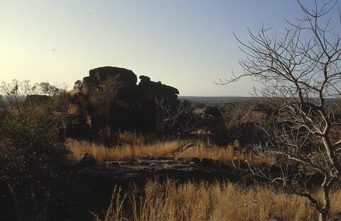 Open original Digital object