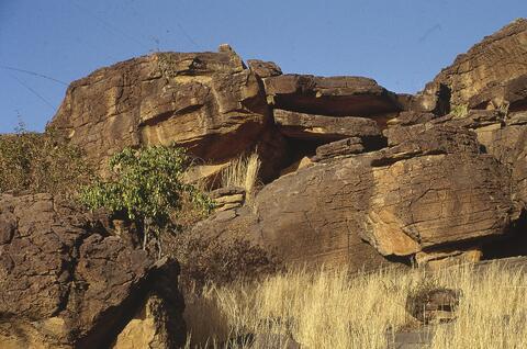 Open original Digital object