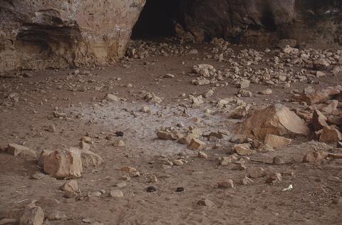 Open original Digitaal object