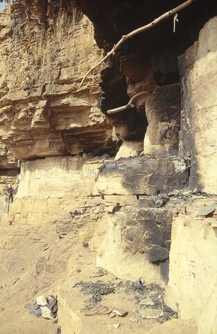 Open original Digital object