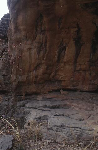 Open original Digital object