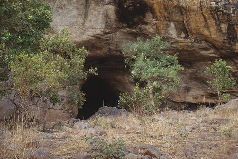 Open original Digital object