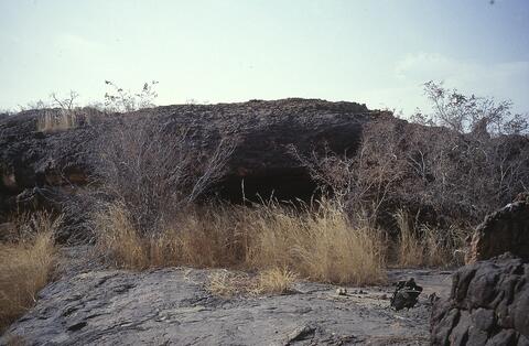 Open original Digital object