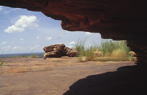 Open original Digital object