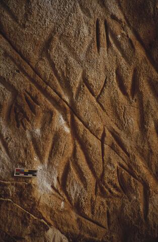 Open original Digitaal object