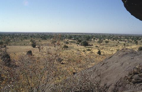 Open original Digital object