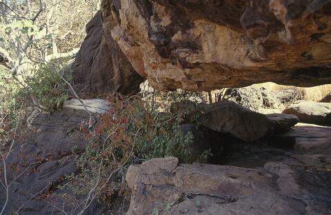 Open original Digital object