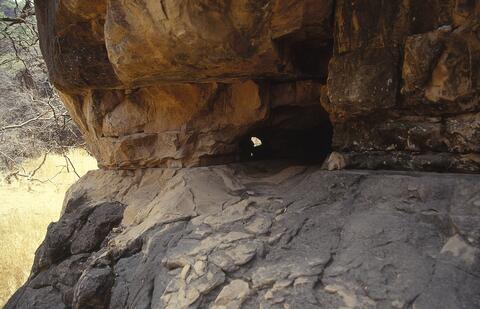 Open original Digital object