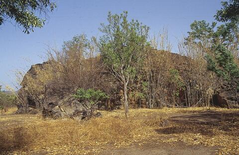 Open original Digital object