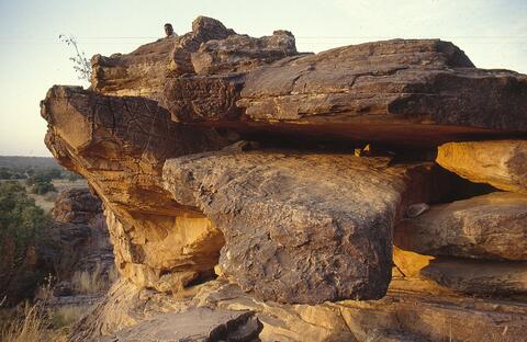 Open original Digital object