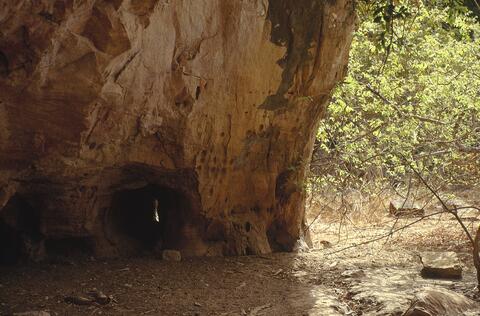 Open original Digital object