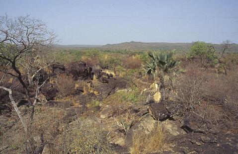 Open original Digital object