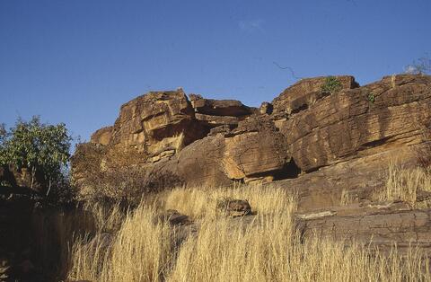 Open original Digital object