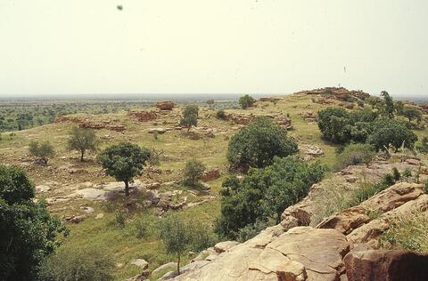 Open original Digital object