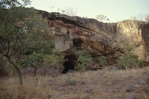 Open original Digital object