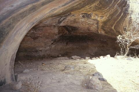 Open original Digital object