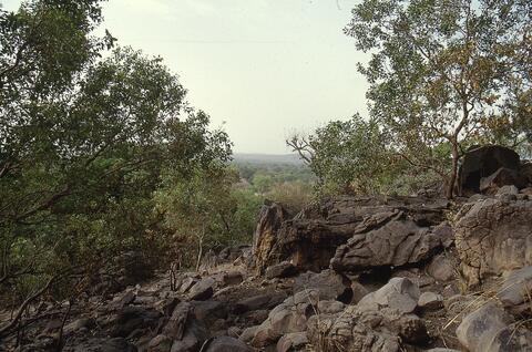 Open original Digital object