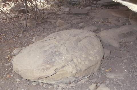 Open original Digital object