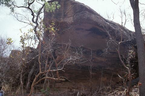 Open original Digital object