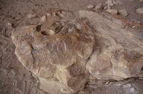 Open original Digitaal object