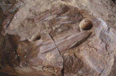 Open original Digital object