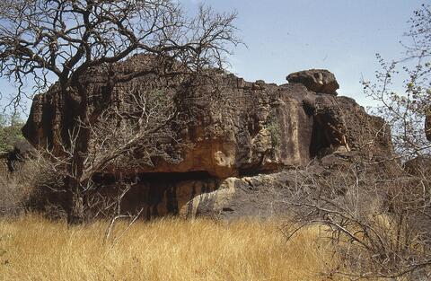 Open original Digital object