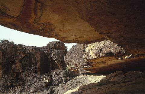 Open original Digital object