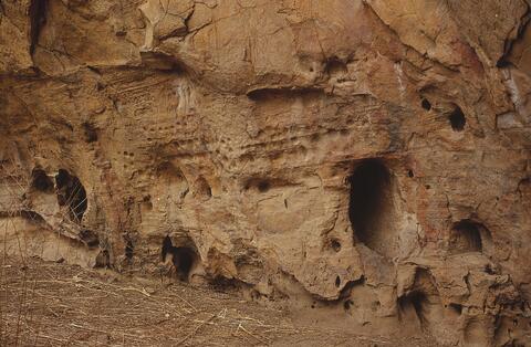 Open original Digital object