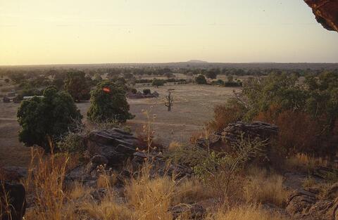 Open original Digital object