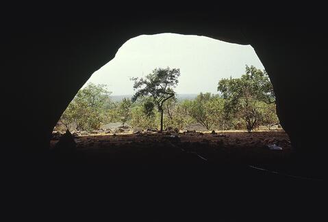 Open original Digital object