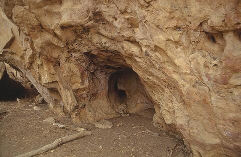 Open original Digital object