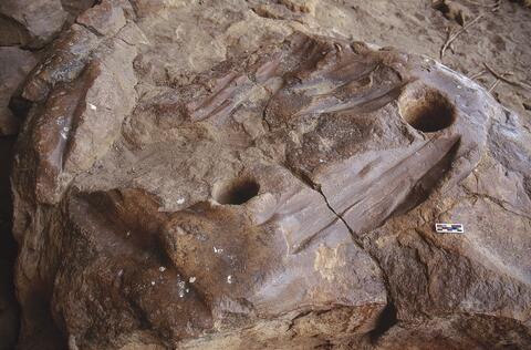 Open original Digitaal object