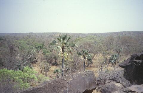 Open original Digital object