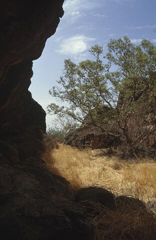 Open original Digital object