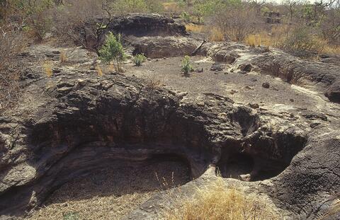 Open original Digital object