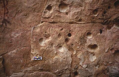 Open original Digital object