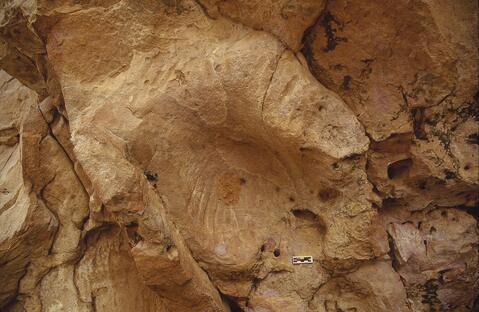 Open original Digitaal object